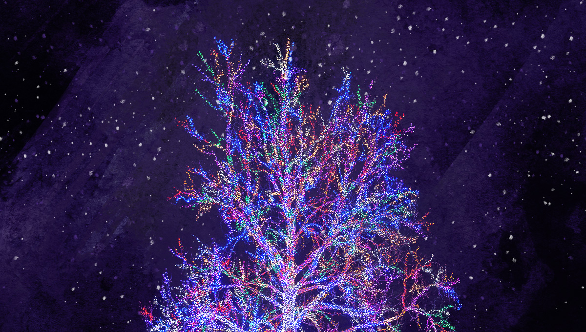 What to Expect at the Magic Tree in 2021 The Crossing Blog